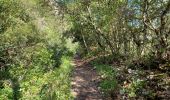 Trail Walking Quinson - Quinson verdon - Photo 9