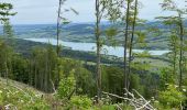 Tour Wandern Thalgau - De Wasenmoos à la Chapelle du Kolomansberg - Photo 8