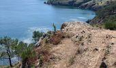 Trail Walking Crozon - Cap de la Chevre  - Photo 20