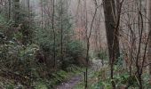 Trail Walking La Roche-en-Ardenne - Balade des panoramas à La Roche-en-Ardenne  - Photo 13