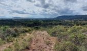 Trail Walking La Motte - a motte/Le muy  - Photo 3