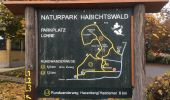 Trail On foot Fritzlar - Lohne, L1 - Zum Steinkistengrab - Photo 3