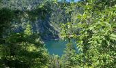 Trail Horseback riding Orbey - Orbey- Sainte Marie aux mines - Photo 14