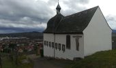 Tour Wandern Marlenheim - le vignoble de marlenheim (circuit) - Photo 1