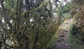 Tour Wandern La Roque-Gageac - boucle La Roque Gageac - Beynac - Photo 1