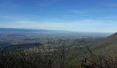 Trail Walking Ourches - Le Tour de Chalamet - Photo 5