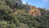 Excursión Senderismo Bagnols-en-Forêt - Gorges du Blavet au col de la pierre du coucou - Photo 8