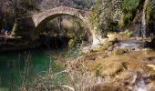 Excursión Senderismo Saint-Cézaire-sur-Siagne - Incursion dans le Var et retour depuis Saint Cezaire - Photo 2