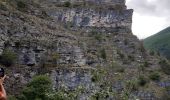 Percorso Marcia Beauvezer - les gorges st pierre. Colmars les Alpes. Villars  - Photo 1