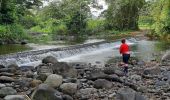 Tocht Stappen Le Marigot - Boucle Lagrange via Papin - Le Marigot - Photo 13