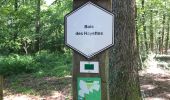 Trail Walking Momignies - Momignie 20,5 km - Photo 14