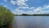 Trail Walking Le Cannet-des-Maures - z le lac des escarcets 08-06-21 - Photo 7