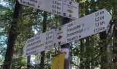 Randonnée A pied Oberharmersbach - Harmersbacher Vesperweg - Photo 10