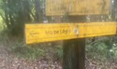 Tocht Trail Petit-Bourg - IRA - Photo 7