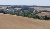 Tour Elektrofahrrad Vauchassis - Vauchassis St Mards en Othe - Photo 16