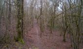 Percorso Marcia Besançon - BESANCON Forêt de CHAILLUZ - Photo 1