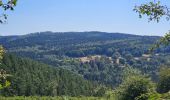 Tour Wandern Manhay - Balade à Deux-Rys - Manhay - Photo 12