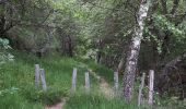 Trail Walking Linthal - Linthal boucle par col de lauchen - Photo 5