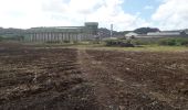 Trail Walking Le Robert - Pointe Savane plage des Resignier - Photo 11