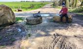 Randonnée Marche Chaumes-en-Brie - chaumes en brie  - Photo 2