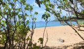 Tour Wandern Deshaies - Guadeloupe - Littoral Deshaies - Photo 4