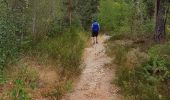 Trail Walking Le Malzieu-Ville - LE MALZIEU - APCHER  - Photo 6