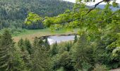 Randonnée Marche La Bresse - Marchais Rai.kopf - Photo 2