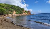 Tour Wandern La Trinité - De Pointe rouge vers pointe à Bibi  - Photo 4