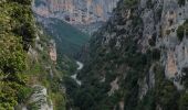 Trail Walking La Palud-sur-Verdon - Sentier Blanc Martel - Photo 12