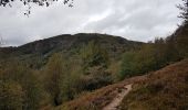 Trail Walking Sewen - Ballon d'Alsace - Lac d'Alfed et sa cascade - Col du Bonhomme - Ballon d'Alsace - Photo 20