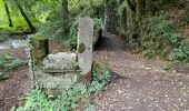 Excursión Senderismo Yvoir - Le Bocq de Durnal Bauche - Photo 4