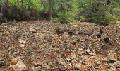 Trail Walking Rustrel - Colorado  - Photo 8