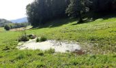 Tocht Stappen Bilieu - tour de lac. Paladru  - Photo 1