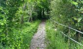 Trail Walking Cusy - Premier essai chavonnes - Photo 4
