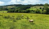 Trail Walking Theux - autour du Maquisart - Photo 11