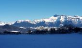 Tour Wandern Clelles - Les Faisses du Gėant - Photo 11