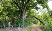 Trail Walking Marville - Marville 17 km - Photo 11