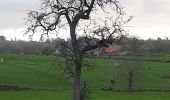 Tour Wandern Thimister-Clermont - 20211108 - Thimister 8.5 Km - Photo 7