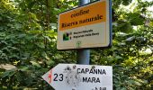 Tocht Te voet Albavilla - Sentiero degli Alpini - Photo 1