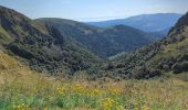 Trail Walking La Bresse - Le Hohneck et ses lacs d'altitude - Photo 1