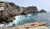 Tocht Stappen Saint-François - Guadeloupe - Pointe des Châteaux (2024) - Photo 10