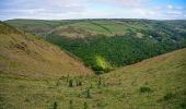 Tocht Te voet North Devon - Butterfly Walk - Photo 3