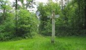 Trail On foot Compiègne - en forêt de Compiègne_34_autour du Buissonnet et du Berne - Photo 15