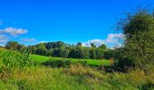 Tour Wandern Hamois - Marche Adeps à Natoye - Photo 5