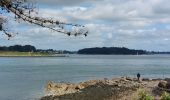 Tocht Stappen Arzon - PR_56_Arzon_AA_01_Pointes-Du-Golfe_Circuit1b_20230501 - Photo 2