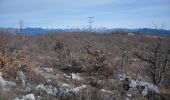 Trail Walking Le Broc - Mouton d'Anou par le Broc - Photo 2