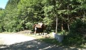 Randonnée Marche Wegscheid - Circuit des Rochers - Photo 1