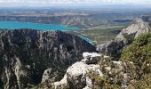 Tocht Stappen La Palud-sur-Verdon - col plein voir - Photo 2