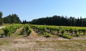 Tour Wandern Aujargues - Aujargue  Junas(28-05-2020) - Photo 4