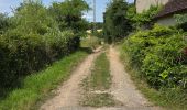 Trail Walking La Chapelle-Enchérie - La Chapelle-Enchérie - Les Haies - Photo 9
